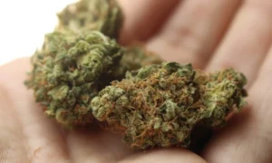 DEA Clarifies That The Synthetic Cannabis Compound HHC Is Federally Banned, And Doesn't Count As Legal Hemp