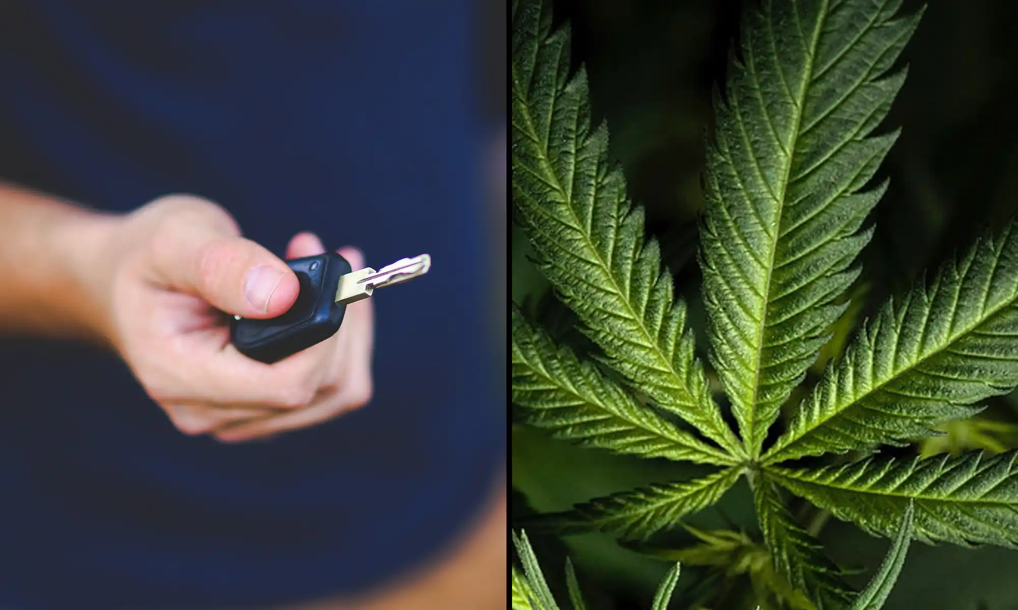 Congressional Committee Directs Feds To Keep Testing Truck Drivers For Marijuana, Regardless Of Trump’s Rescheduling Move