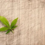 Lawmakers want cannabis tax guidance from IRS (Newsletter: May 29, 2026)