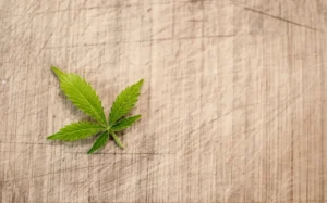 Lawmakers want cannabis tax guidance from IRS (Newsletter: May 29, 2026)