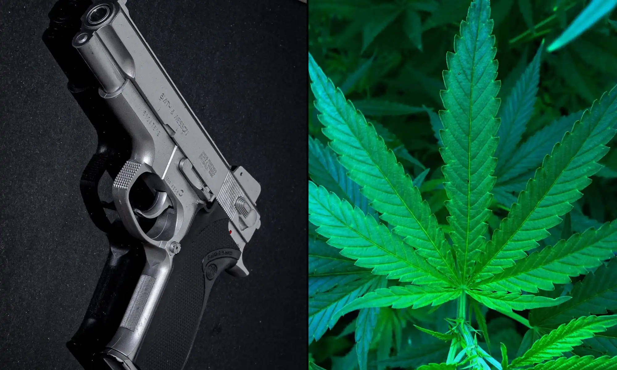 More People Are Denied Gun Permits Over Medical Marijuana In Hawaii Than For Any Other Reason, Attorney General’s Report Shows