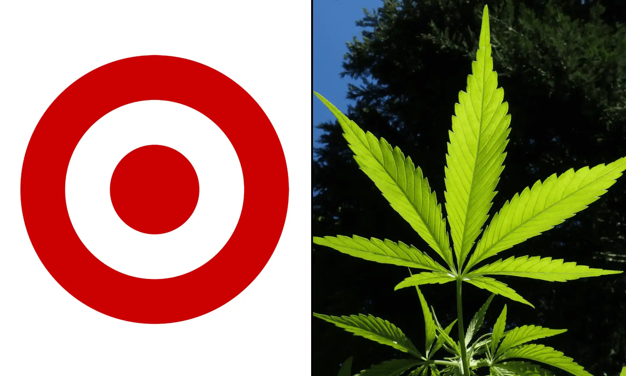 Target Is Launching Hemp THC Drink Sales In Three Of The U.S.’s Most Populous States