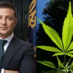 Ukraine's First Legal Medical Cannabis Products Have Been Dispensed To Military Veterans And A Woman With MS