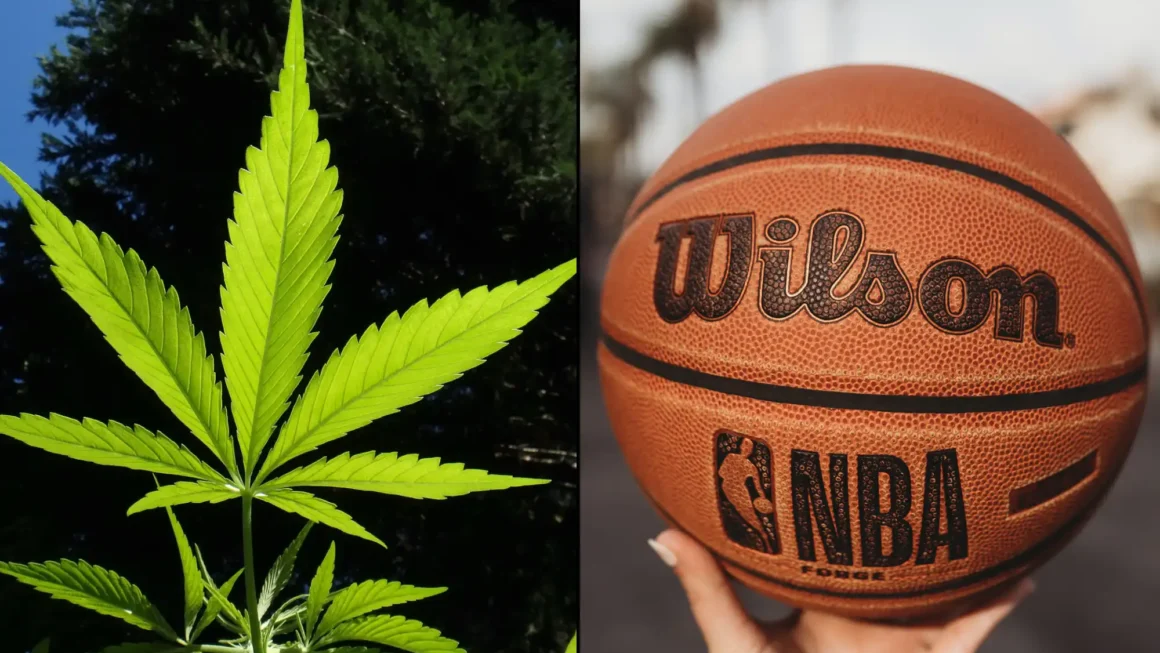 WNBA Removes Marijuana From Banned Substances List And Sets Rules For Player Endorsements Of Hemp CBD Products