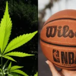 WNBA Removes Marijuana From Banned Substances List And Sets Rules For Player Endorsements Of Hemp CBD Products