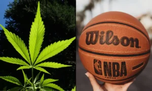 WNBA Removes Marijuana From Banned Substances List And Sets Rules For Player Endorsements Of Hemp CBD Products