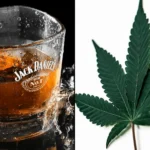 Alcohol Retailers Celebrate Senate's Move To Keep Hemp THC Drinks Legal, For Now