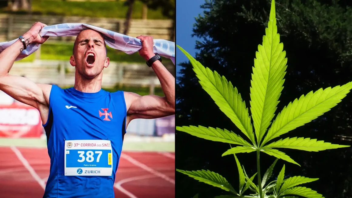 CBD Has ‘Potentially Performance-Enhancing Properties’ In Sports And May Help Athletes Recover After Exercise, Study Shows