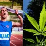 CBD Has 'Potentially Performance-Enhancing Properties' In Sports And May Help Athletes Recover After Exercise, Study Shows