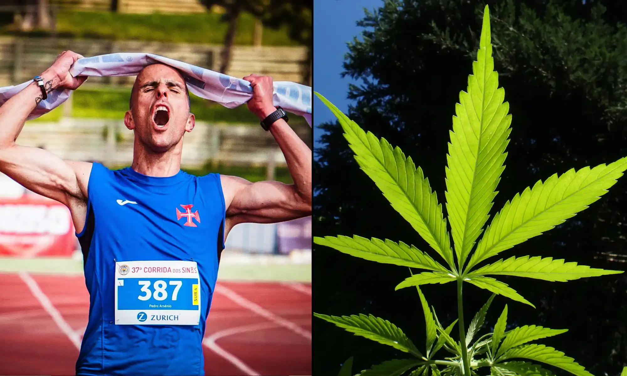 CBD Has ‘Potentially Performance-Enhancing Properties’ In Sports And May Help Athletes Recover After Exercise, Study Shows