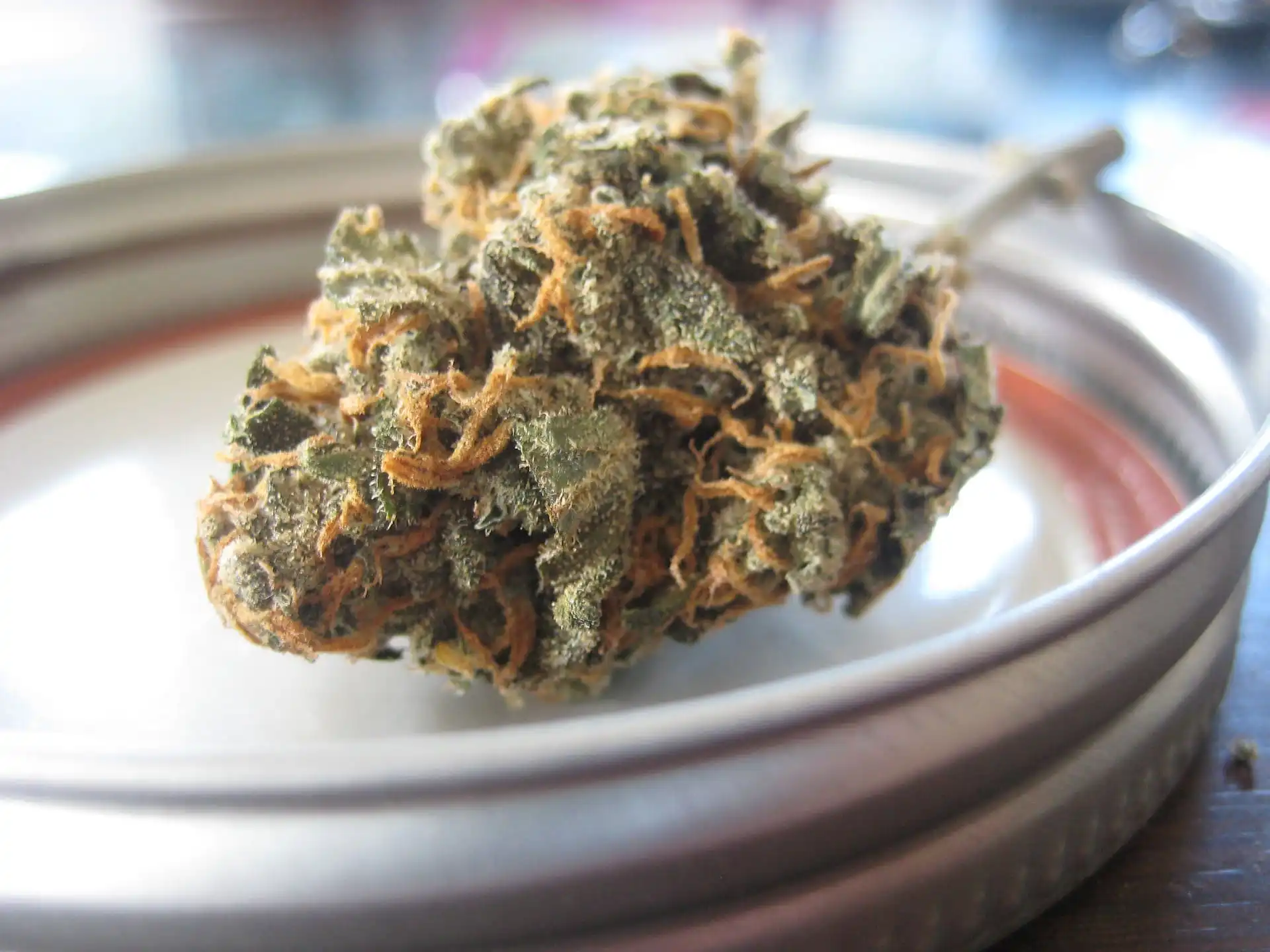 DEA defends synthetic cannabinoid ban (Newsletter: August 14, 2026)