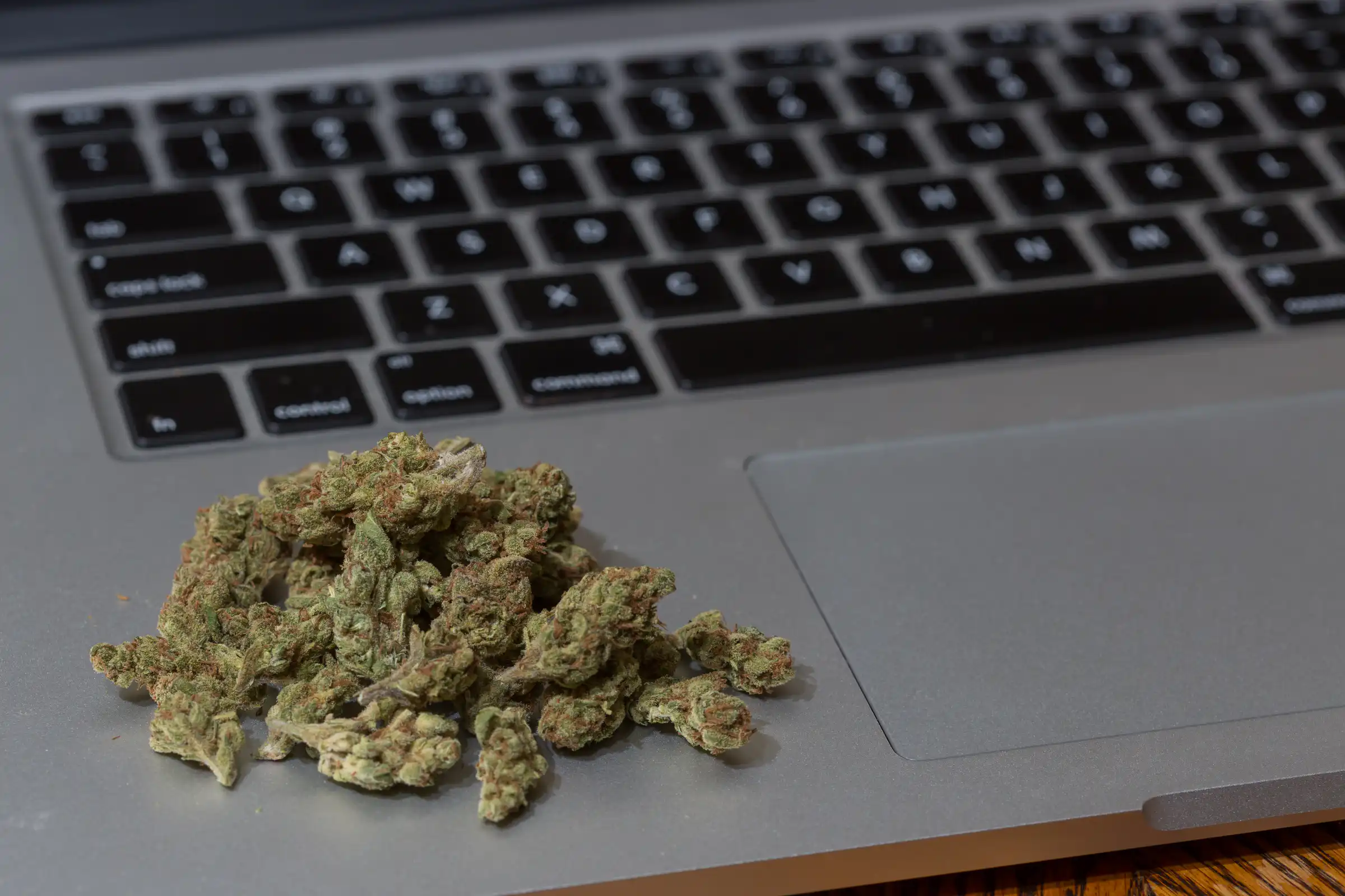 FDA Wants Help Monitoring Marijuana And Hemp Posts On TikTok, Reddit And Instagram