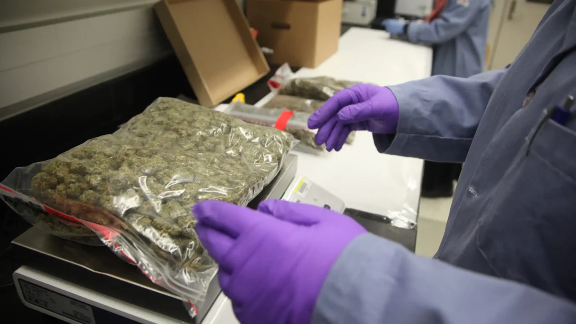 How Cannabis Companies Can Take Advantage Of The Research And Development Tax Credit Under Federal Rescheduling (Op-Ed)