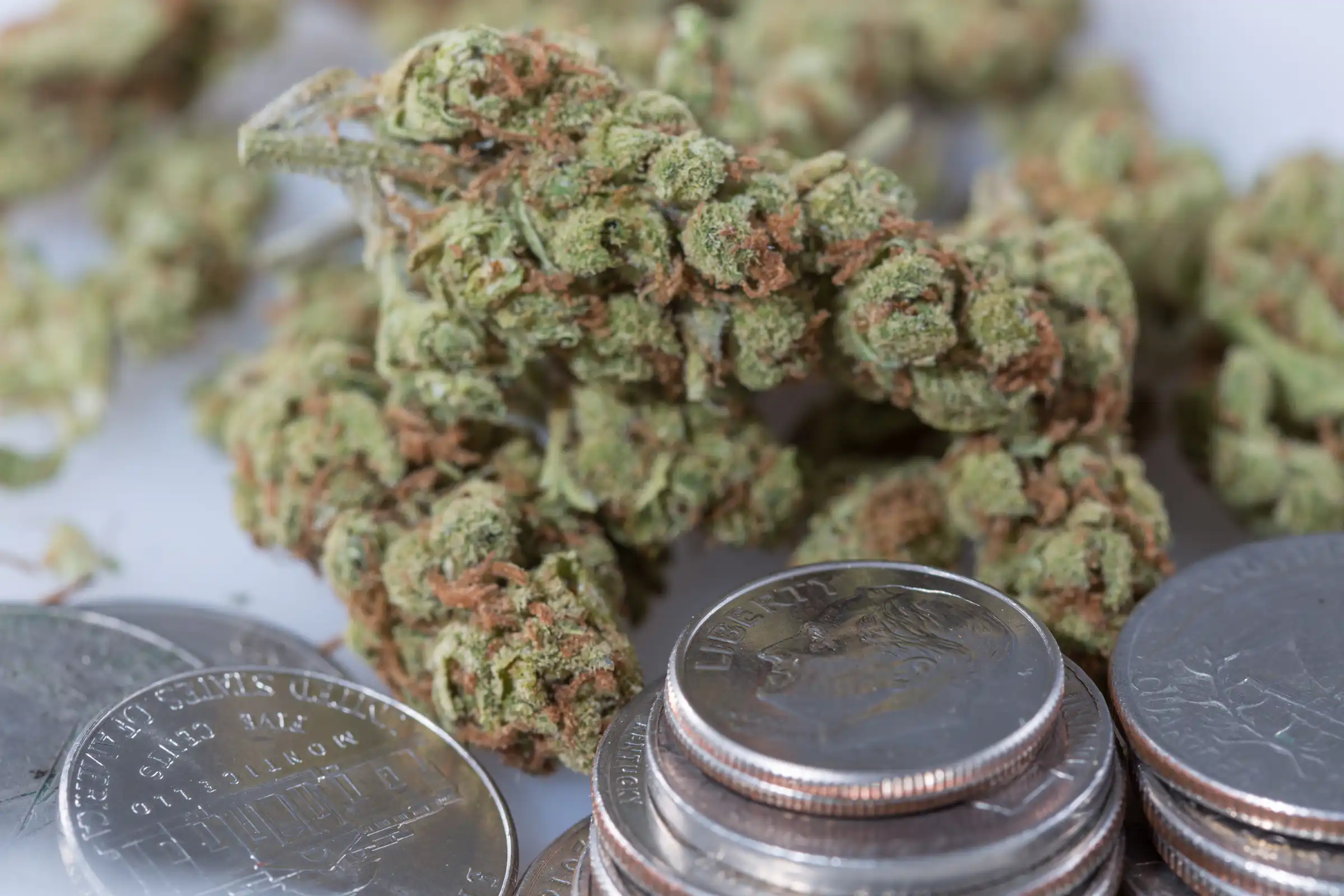 Michigan GOP Lawmaker Seeks To Repeal Marijuana Tax Increase As Rising Costs Cause Businesses To Close