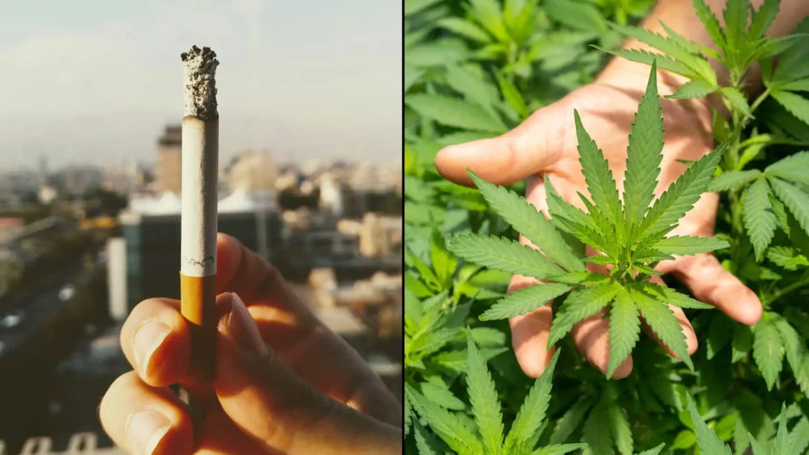 More Americans Are Now Smoking Marijuana Than Ever Before As Cigarettes Hit All-Time Low, Gallup Poll Shows