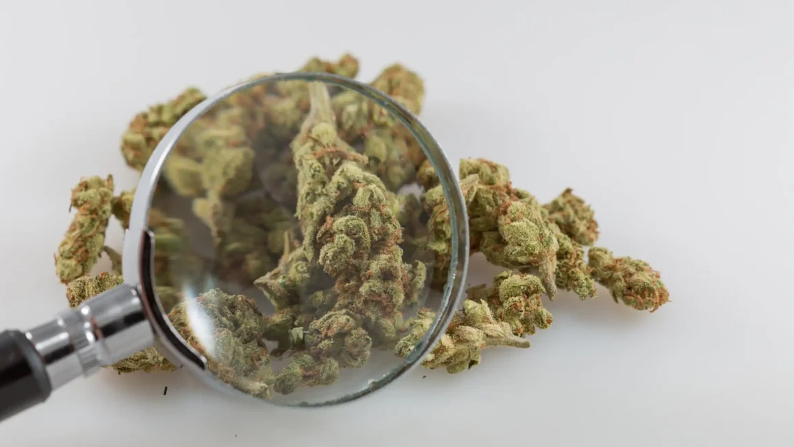 Missouri Marijuana Officials Announce Recall Of Pre-Rolled Joints Following Mold Testing Results
