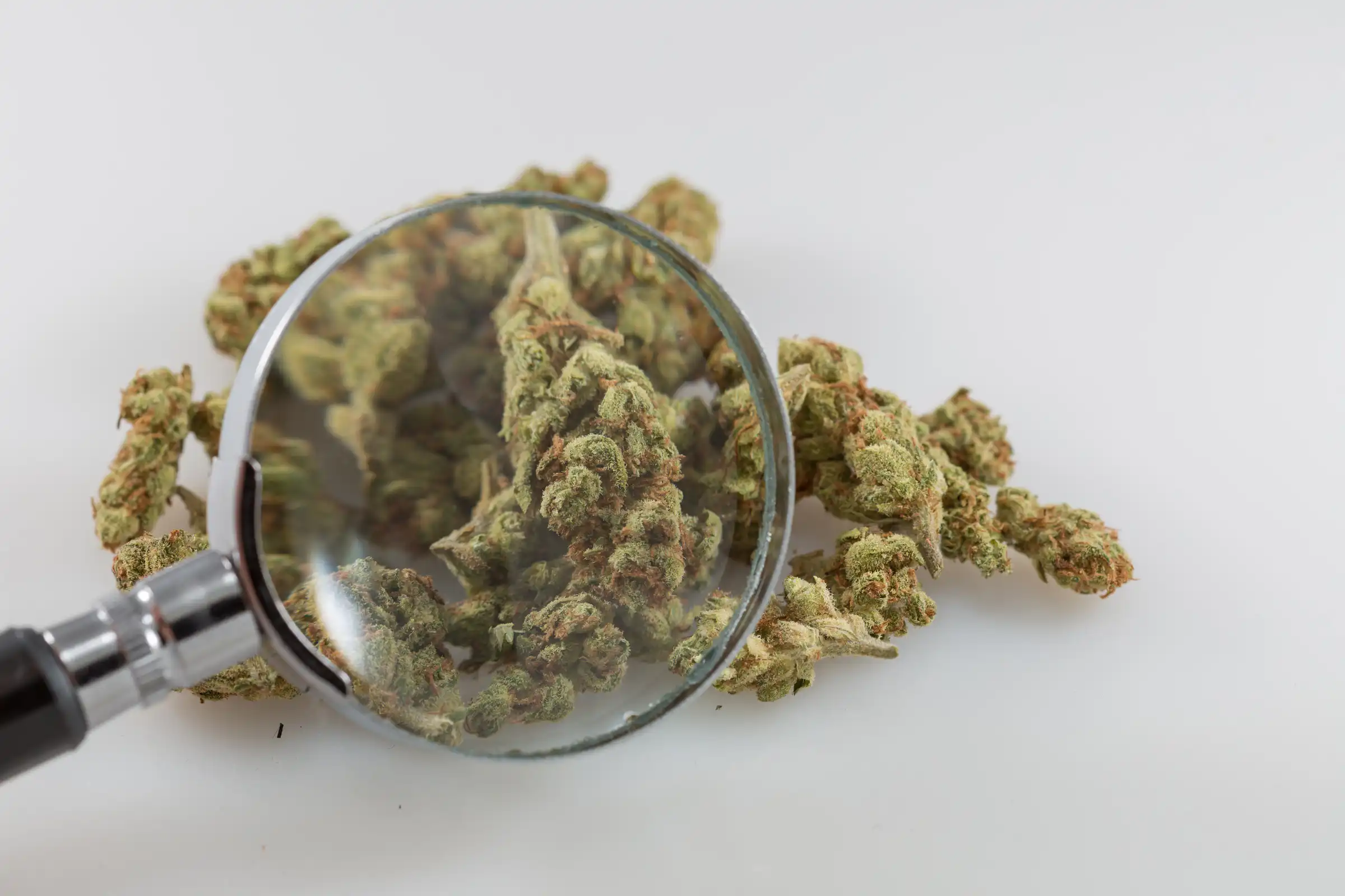 Missouri Marijuana Officials Announce Recall Of Pre-Rolled Joints Following Mold Testing Results