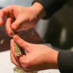 North Carolina Advisory Panel Weighs Cannabis Public Use Policies As Part Of Recommendation To Governor